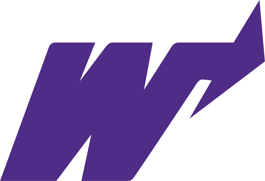 Weber State Wildcats 1973-1996 Primary Logo diy DTF decal sticker